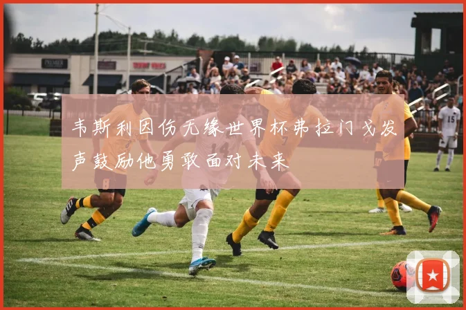 韦斯利因伤无缘世界杯弗拉门戈发声鼓励他勇敢面对未来